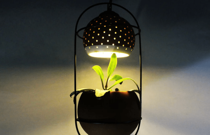 Eco-Friendly Home Decor Ideas for Earth Day - Brown Living™