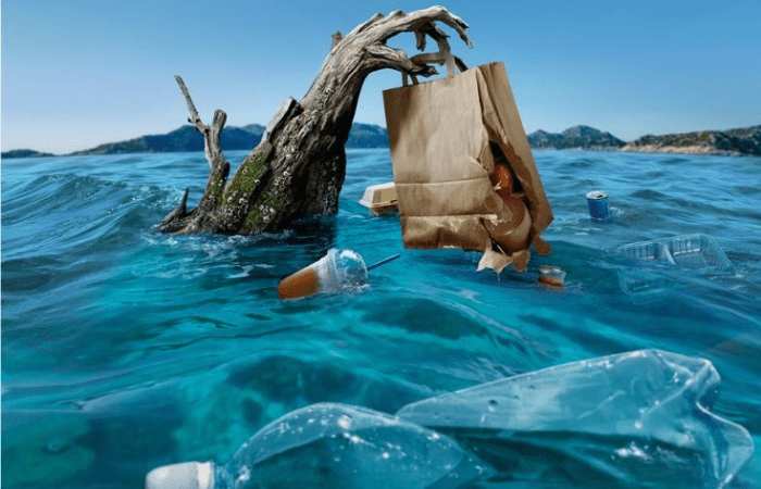 The Impact of Plastic on Marine Life: What You Can Do to Help - Brown Living™
