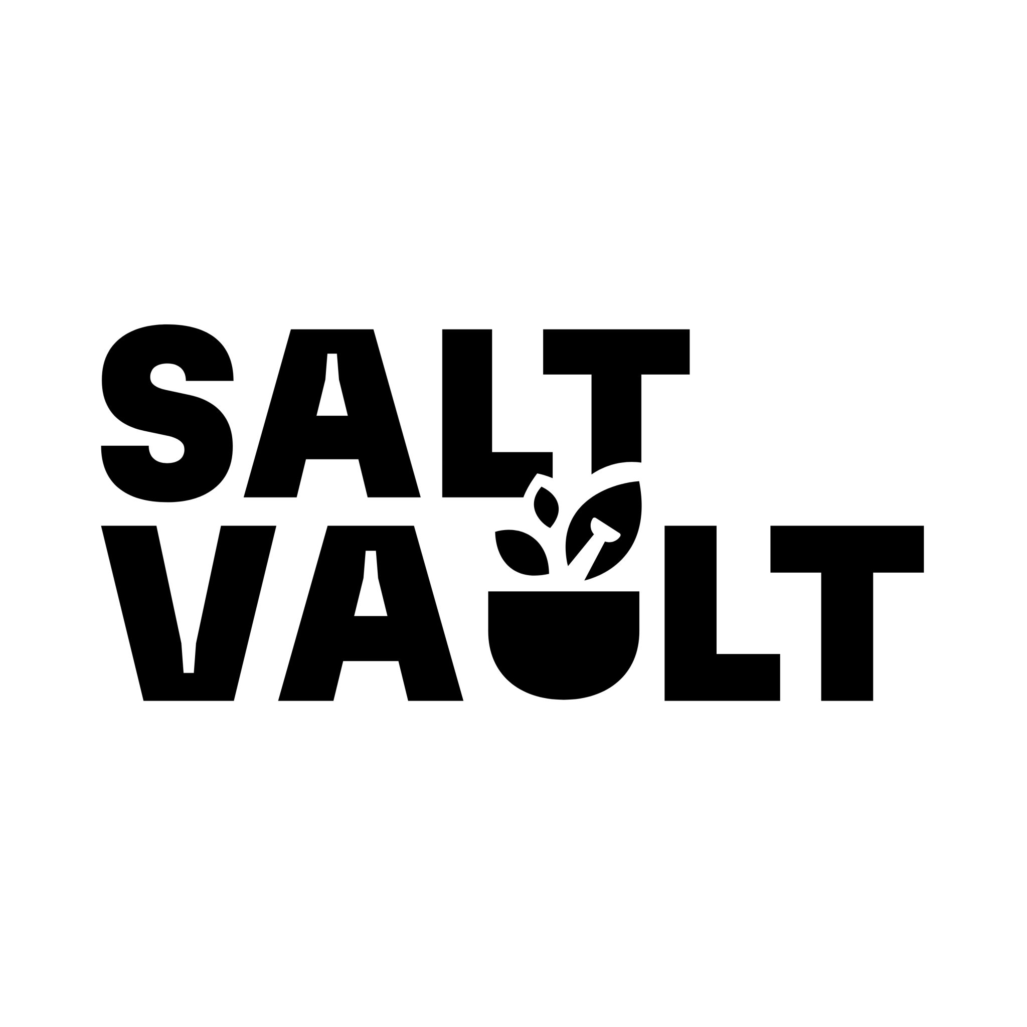Salt Vault - Brown Living™