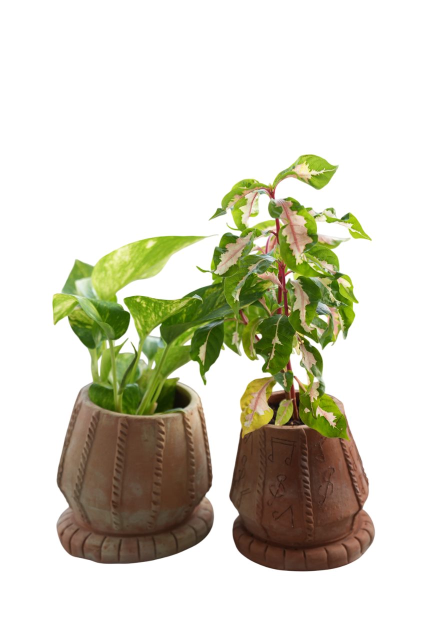Tabla Taal Earthen Planter