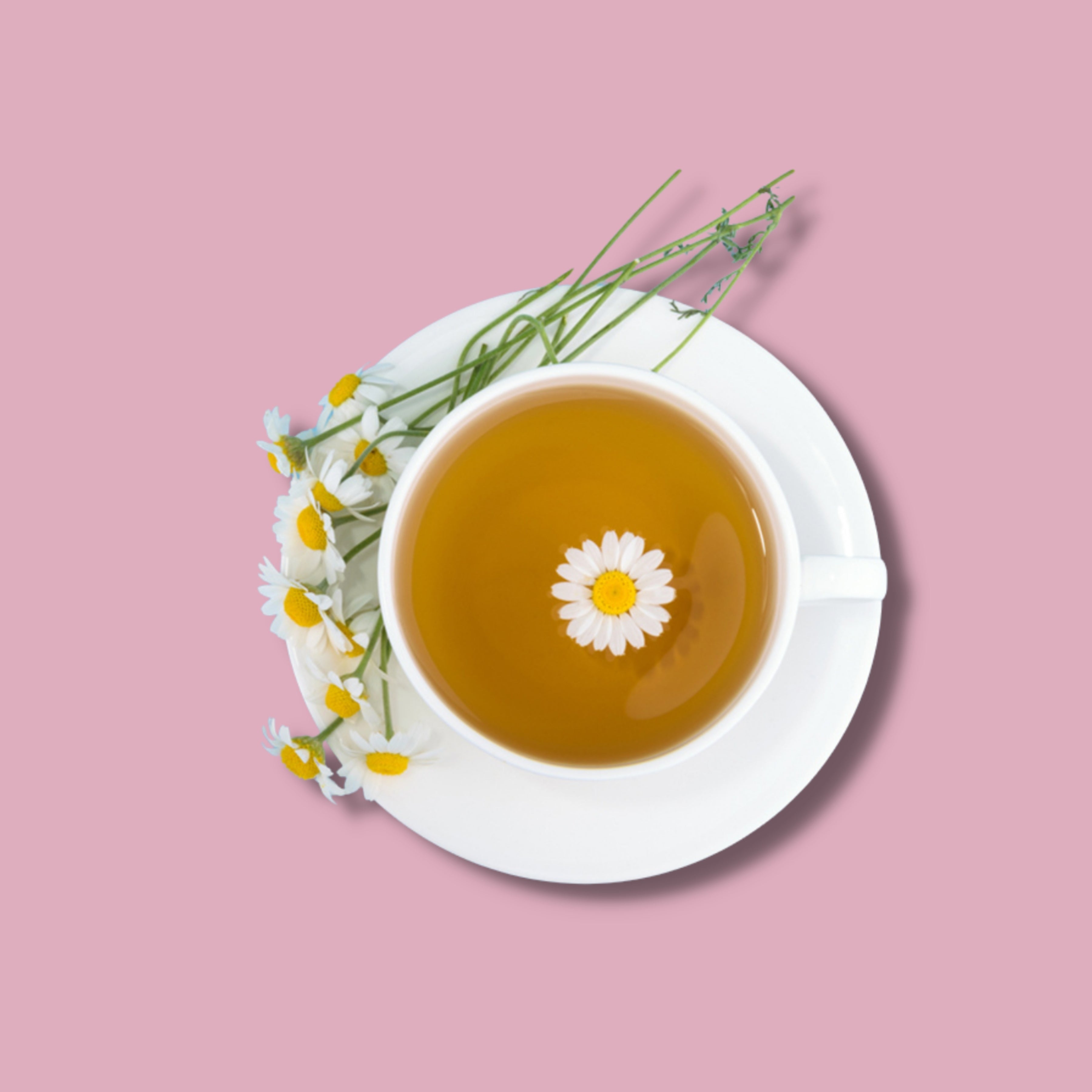 Himalayan Pure Chamomile Tea Natural Herbal Infusion