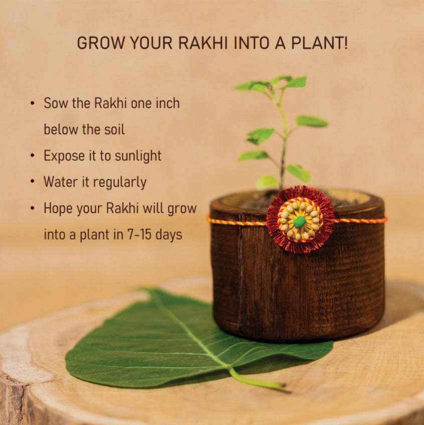 Sneh Handmade Plantable Eco-friendly Rakhi | Grows into Plant