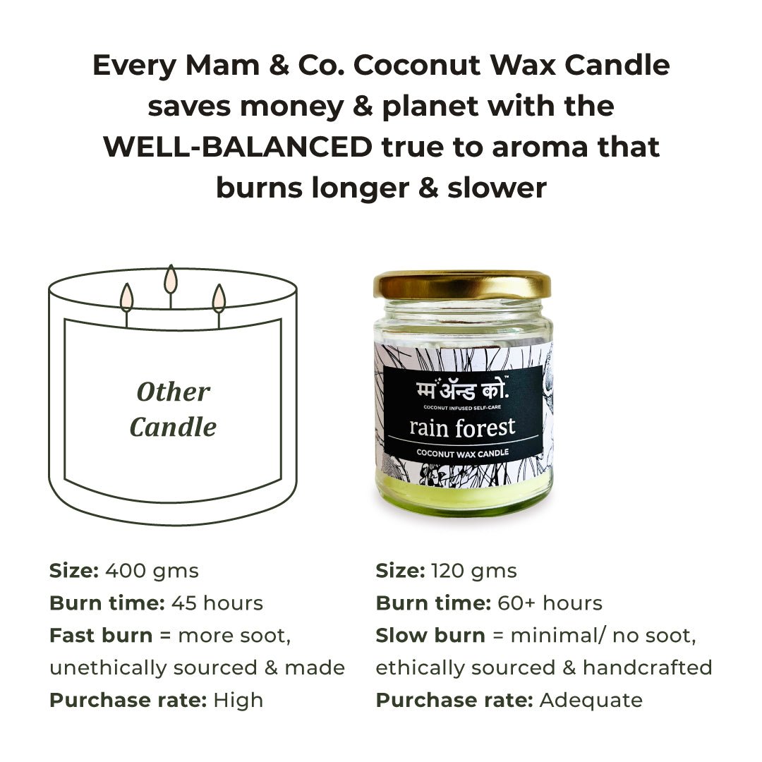 After the Rain - 100% Coconut Wax Botanical Candle – Candles & Fragrances on Brown Living™. SKU: BC12003. Img 6.