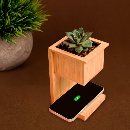 Alder Wireless Charger with Planter | Smart Desk Décor – Desk Accessories on Brown Living™. SKU: MT596. Img 1.