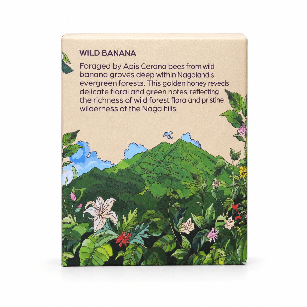 Apis Cerana Wild Banana Honey | Raw Natural Honey – Honey & Syrups on Brown Living™. SKU: CWB320g_. Img 4.