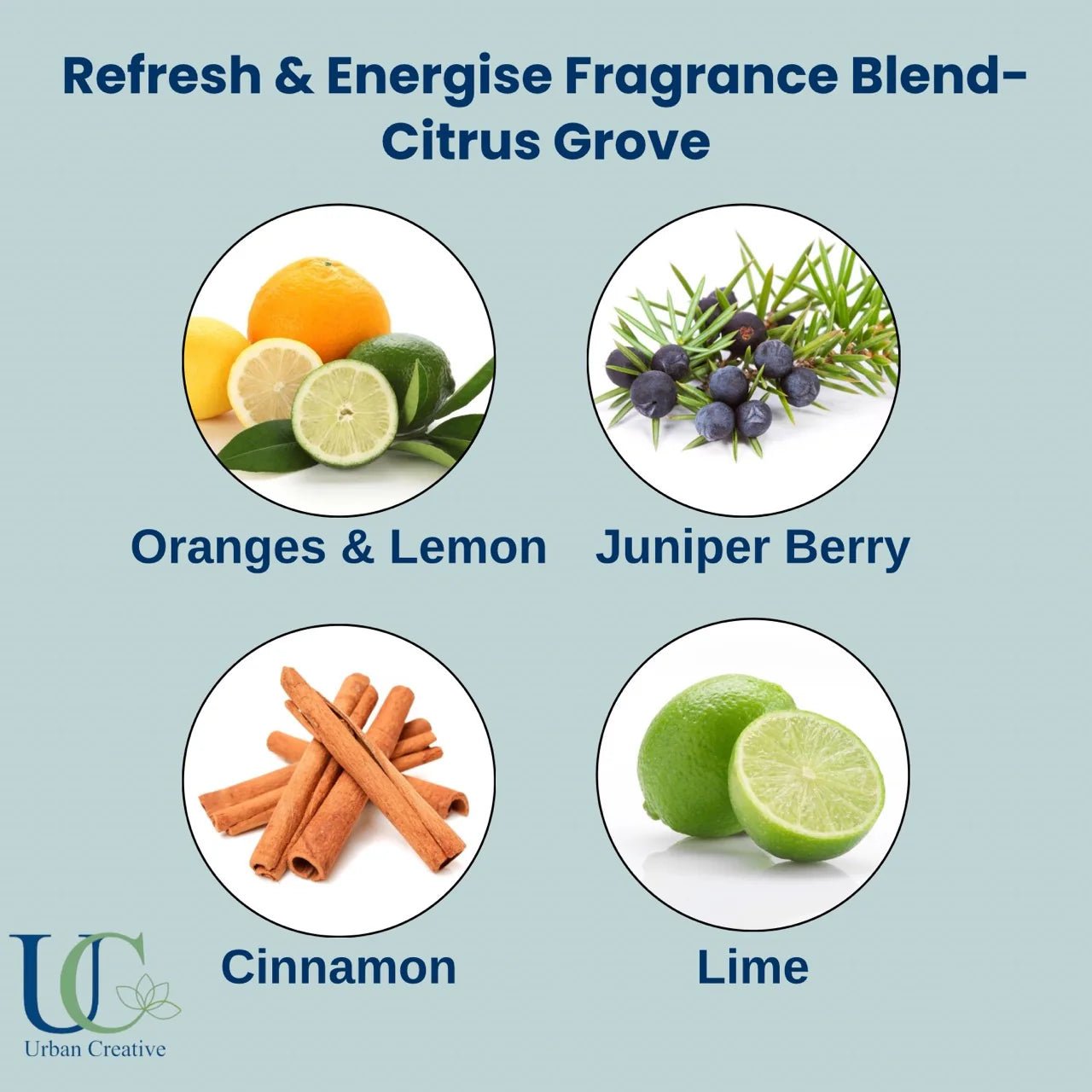 Assorted Shower Steamers Gift Set Morning And Evening 4 Pack – Bath Salt on Brown Living™. SKU: SS-4AF. Img 11.