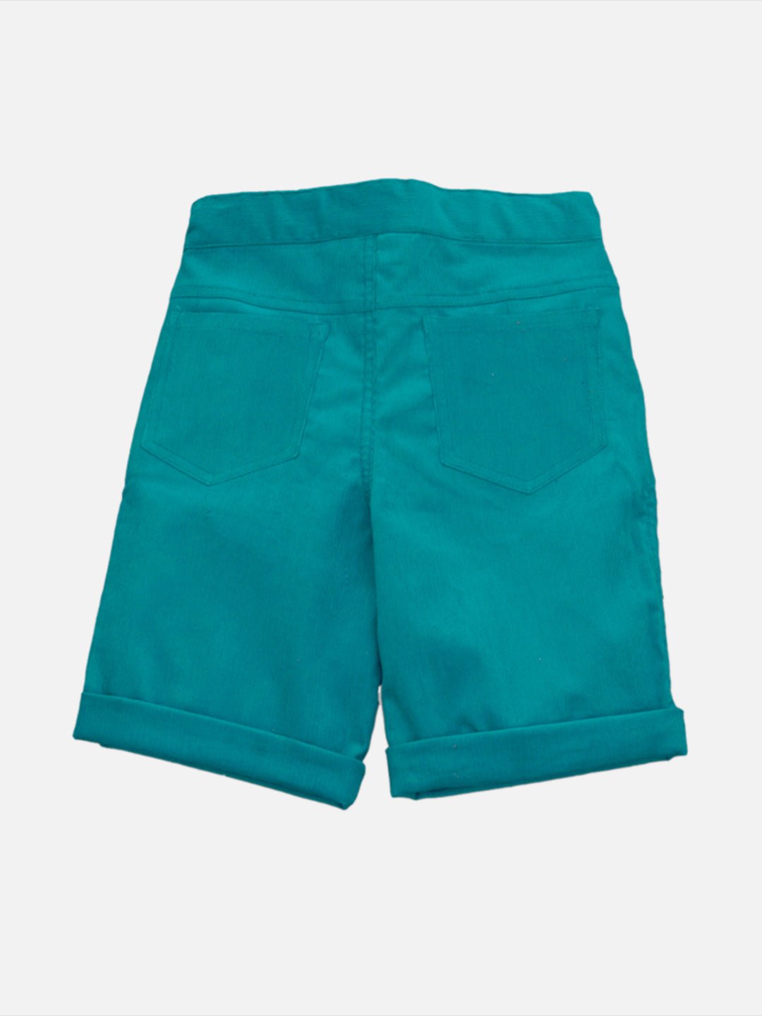 Boys Teal Shorts Regular Fit – Comfortable Casual Summer Wear – Kids Shorts on Brown Living™. SKU: PB201_1. Img 2.