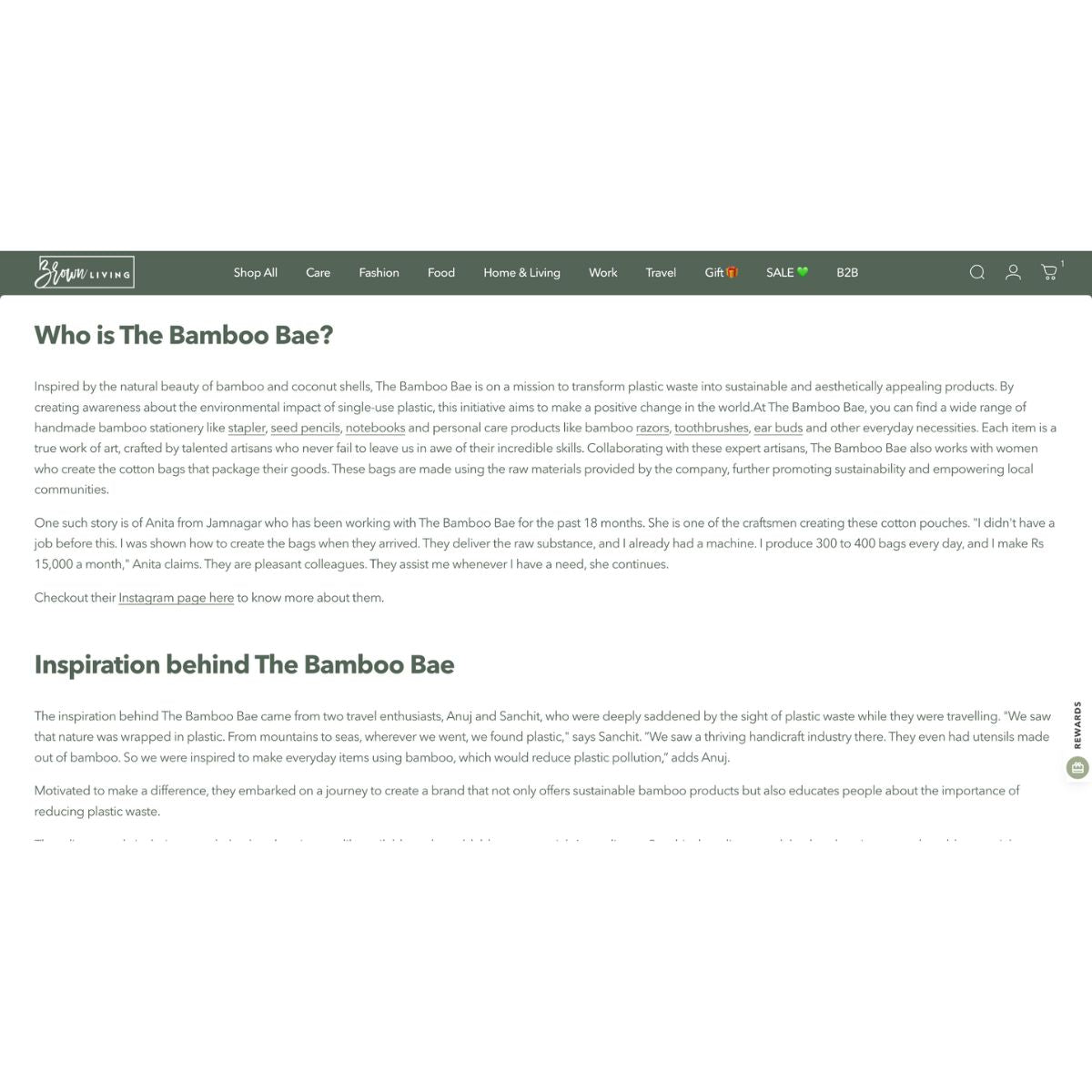 Brand Blog (1,000 words) – Social Media Marketing on Brown Living™. SKU: BLCFG_BB. Img 2.