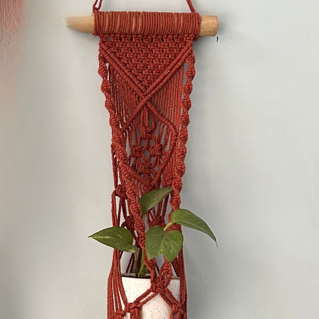 Brown Macrame Plant Holder - Set of 2 – Pots & Planters on Brown Living™. SKU: SAR124. Img 4.