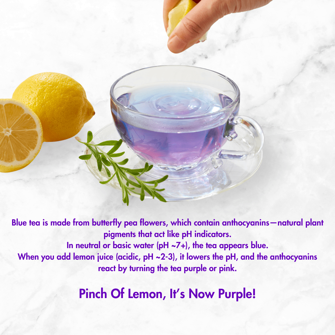 Butterfly Pea Flower Tea | Natural Blue Tea | 40gm | Super Antioxidant – Tea on Brown Living™. SKU: B0F63SSM9V. Img 4.