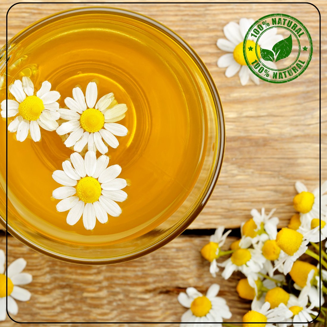 CALMING Chamomile Flower Decaf Tisane - A Tea for Sleep and Serenity – Tea by Radhikas Fine Teas and Whatnots available on Brown Living™. . SKU: 224 - 13911 - 8903555800304. Img 2.