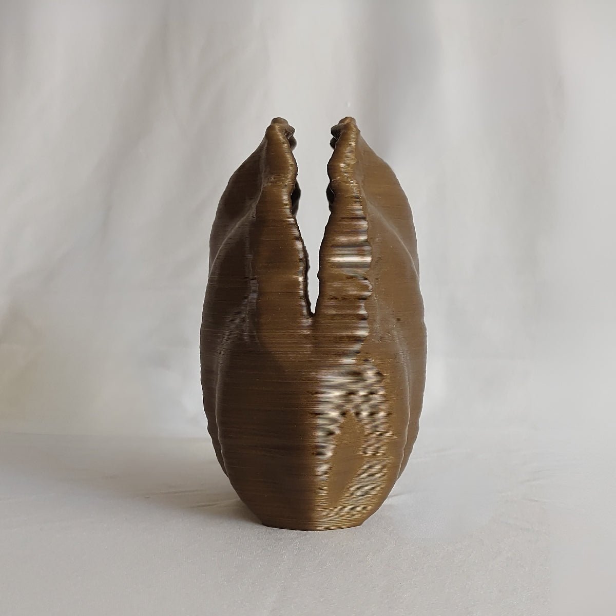 Centennial Mollusk Plant - Based Exotic Bronze Vase – Home Decor on Brown Living™. SKU: CEMOEDPLEBA085. Img 2.