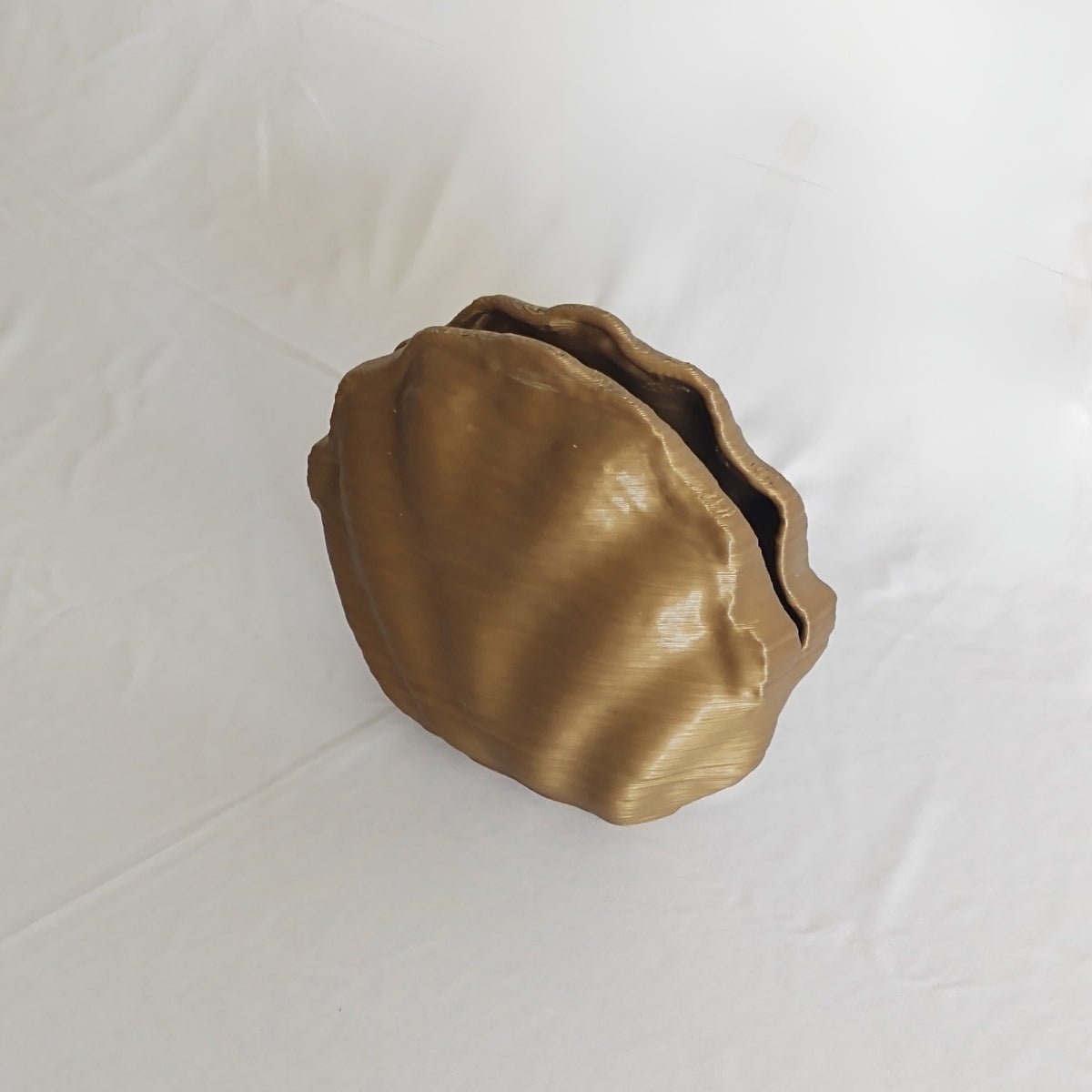 Centennial Mollusk Plant - Based Exotic Bronze Vase – Home Decor on Brown Living™. SKU: CEMOEDPLEBA085. Img 3.
