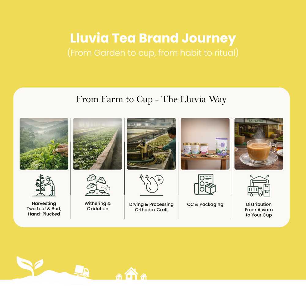 Chamomile Charisma Tea – Helps with Sleep & Relaxation – 50g – Tea on Brown Living™. SKU: LGTin50New. Img 7.