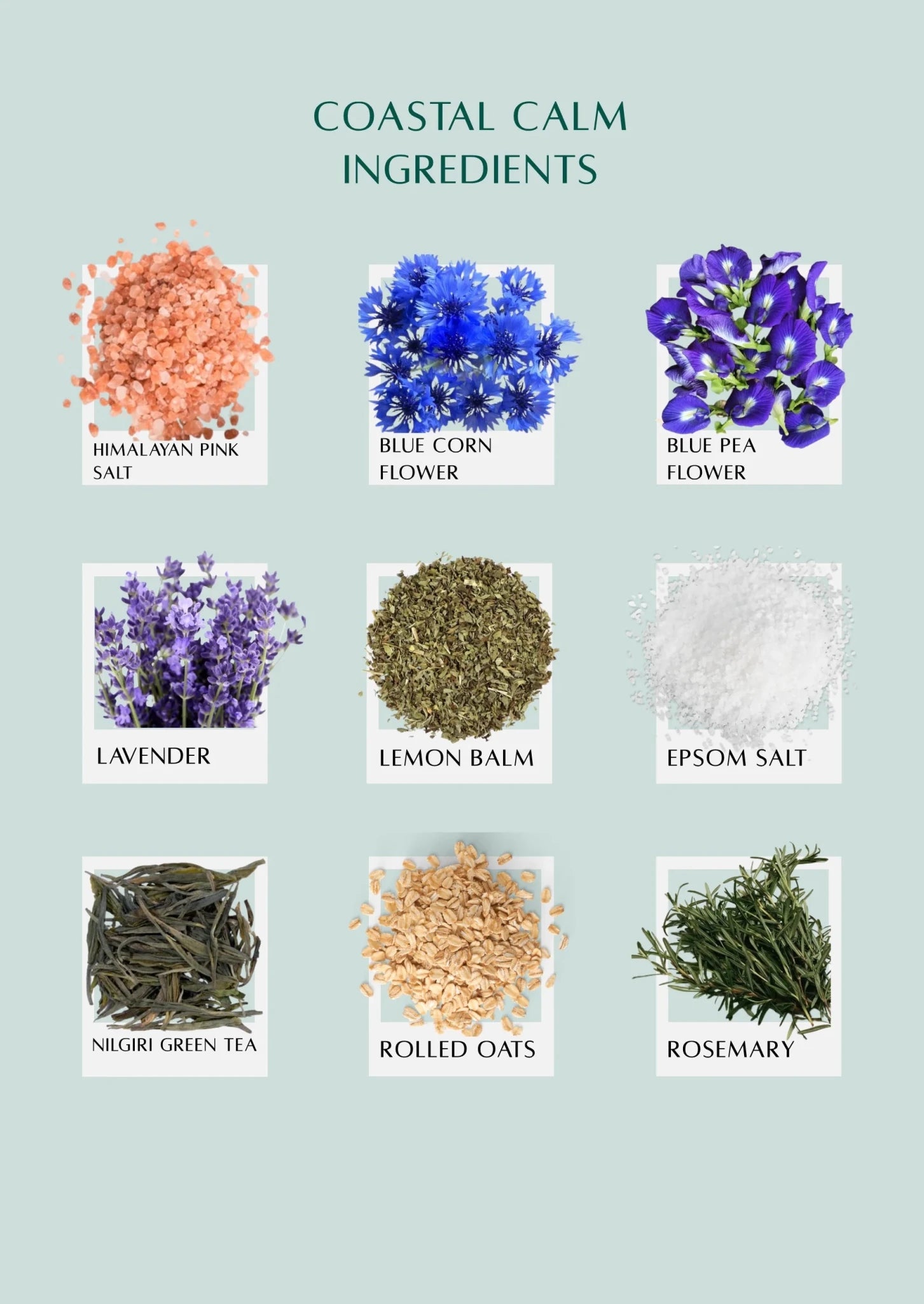 Coastal Calm Bath Tea – Soothing Herbal Bath Infusion for Relaxation – Bath Salt on Brown Living™. SKU: 300003. Img 3.