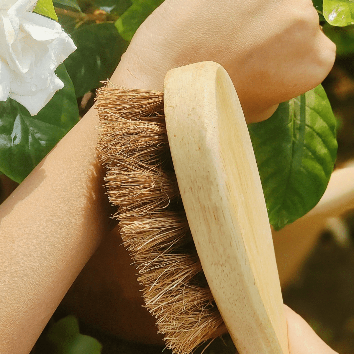 Coconut Fiber Dry Body Brush – Natural Exfoliation Tool – Bath Accessories on Brown Living™. SKU: AS-DBB-001. Img 4.