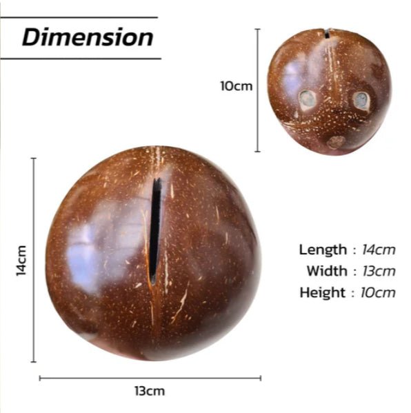 Coconut Shell Kudukka | Piggy Bank for Kids and Adults – Piggy Banks & Money Jars on Brown Living™. SKU: THENGA26. Img 6.