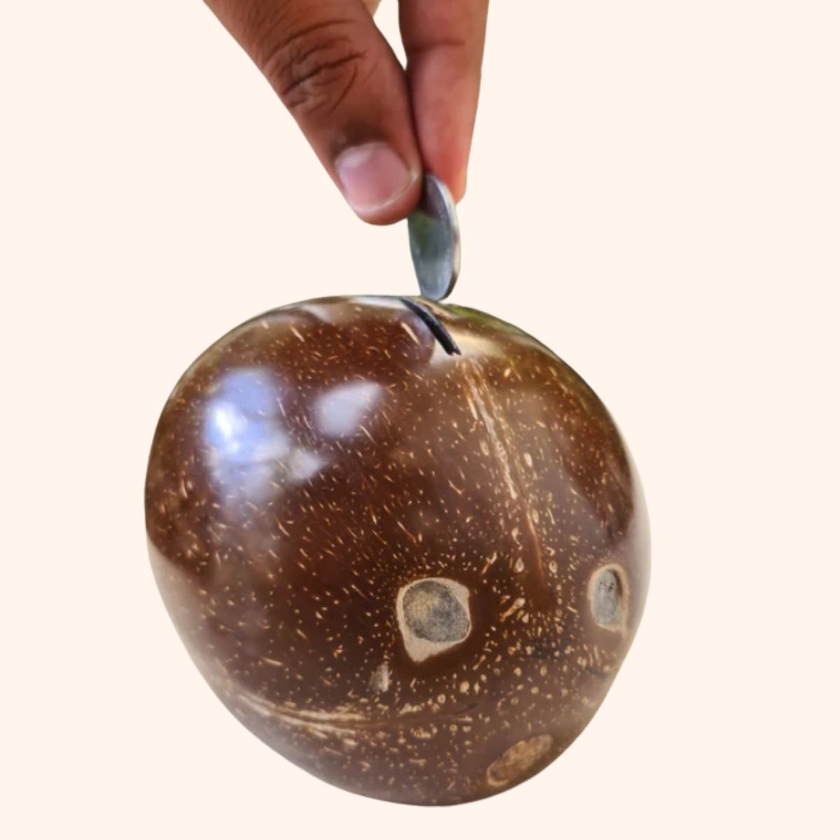 Coconut Shell Kudukka | Piggy Bank for Kids and Adults – Piggy Banks & Money Jars on Brown Living™. SKU: THENGA26. Img 1.