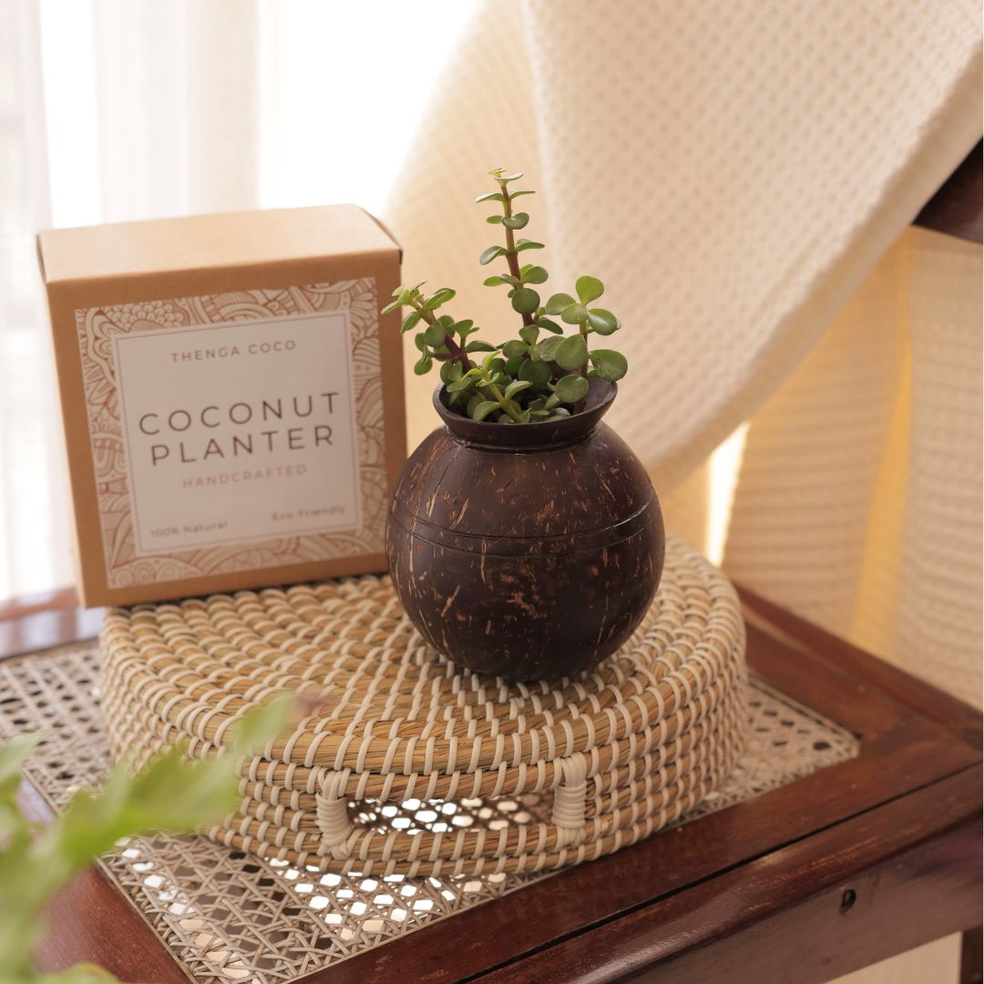 Coconut Shell Pot Shaped Planter Pot | Ideal for Small Plants – Pots & Planters on Brown Living™. SKU: THENGA27. Img 5.