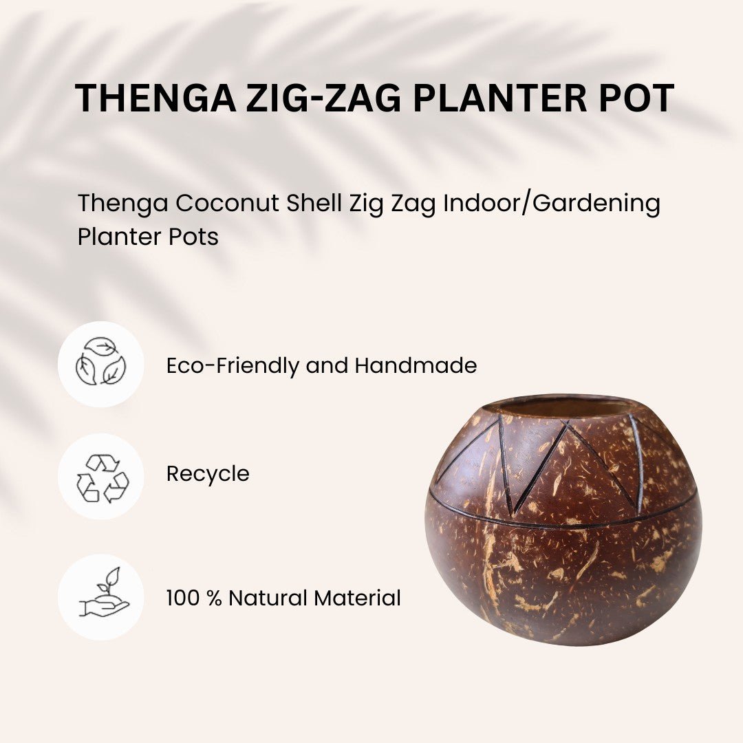 Coconut Shell Zig Zag Planter Pots | Ideal for Small Plants (Set of 1) – Pots & Planters on Brown Living™. SKU: THENGA34. Img 4.