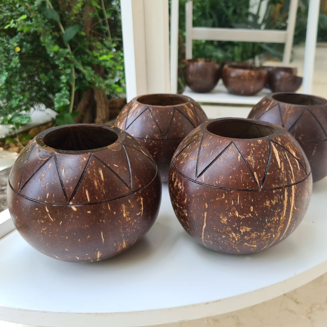 Coconut Shell Zig Zag Planter Pots | Ideal for Small Plants (Set of 1) – Pots & Planters on Brown Living™. SKU: THENGA34. Img 3.