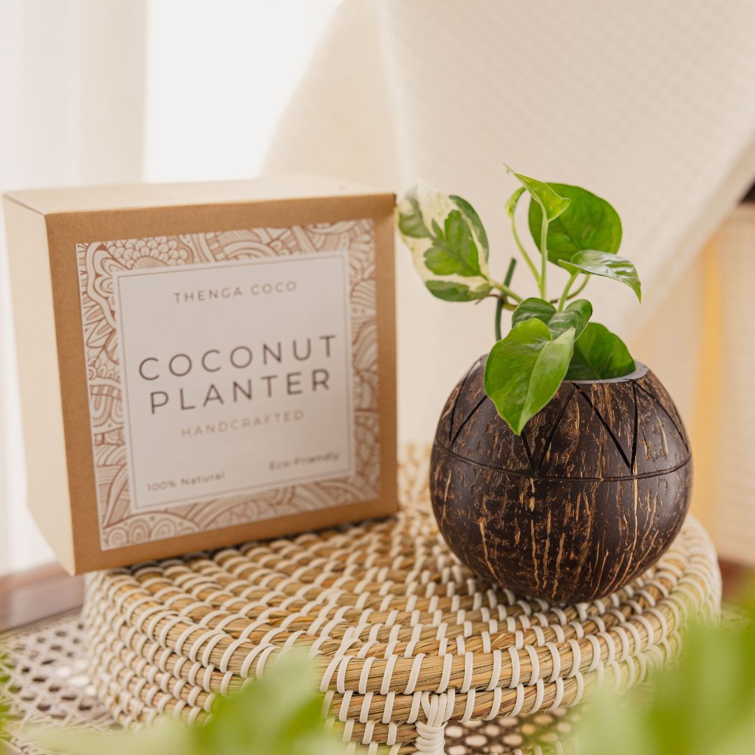 Coconut Shell Zig Zag Planter Pots | Ideal for Small Plants (Set of 1) – Pots & Planters on Brown Living™. SKU: THENGA34. Img 2.