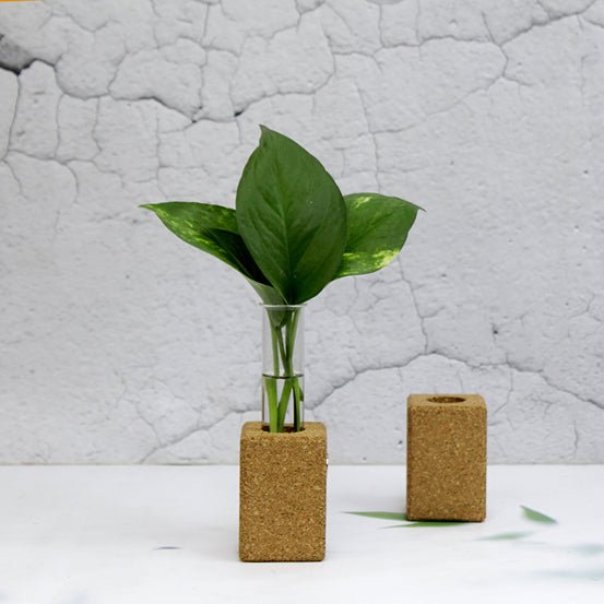 Cork Fridge Planter – Pots & Planters on Brown Living™. SKU: Taper. Img 2.