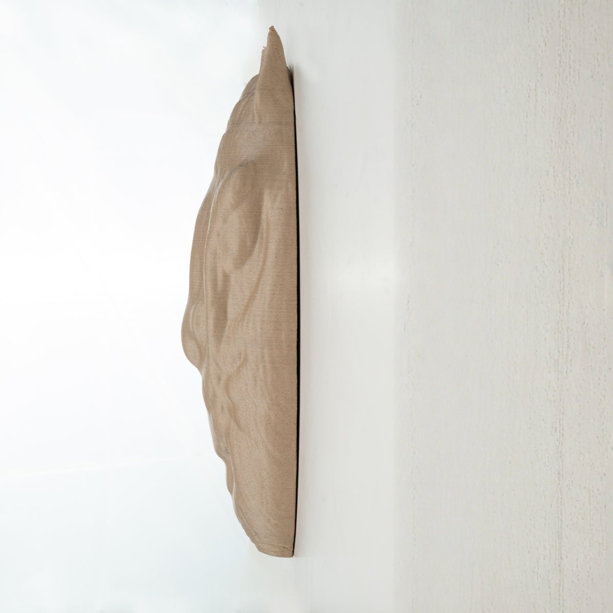 Cougar Vizard Plant - Based Light Wood Wall Decor – Home Decor on Brown Living™. SKU: COVIEDPLLWA048. Img 2.