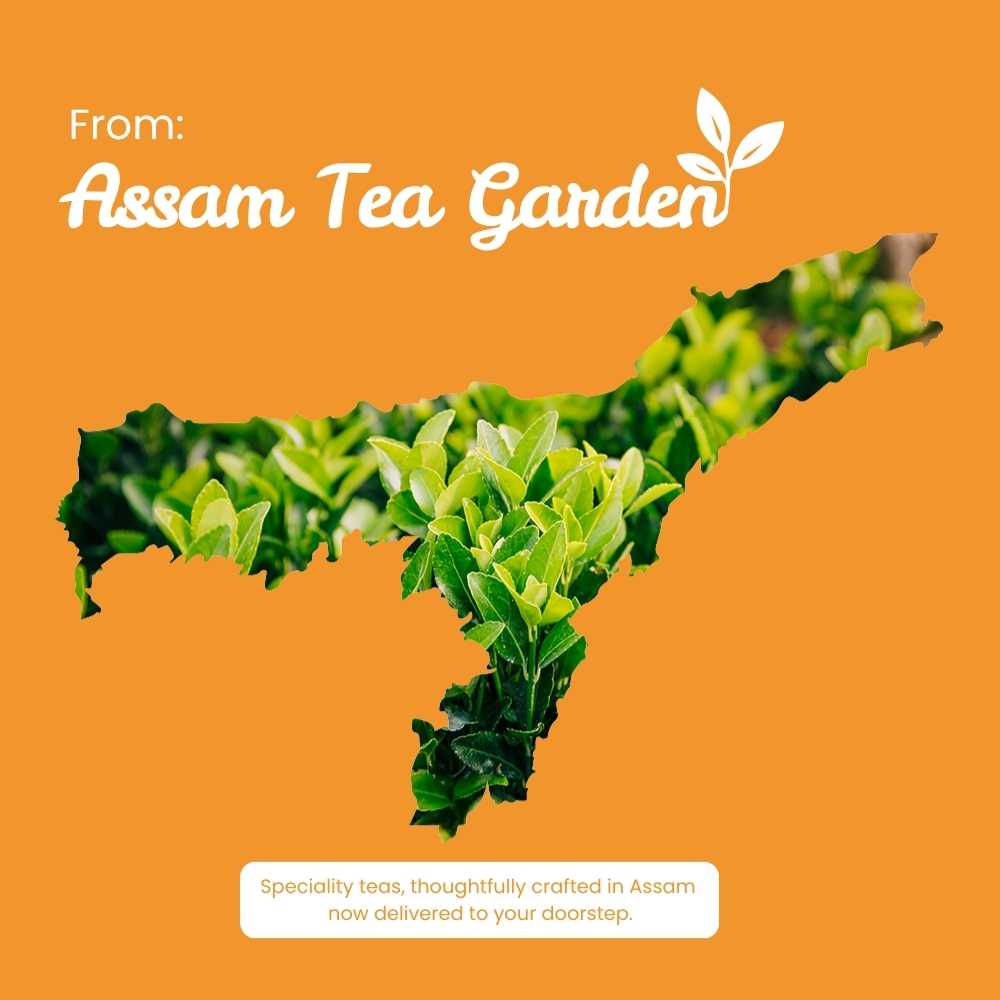 Detox Green Tea – Cleansing, Revitalisation & Overall Wellness – 50g – Tea on Brown Living™. SKU: RBTTin50New. Img 10.