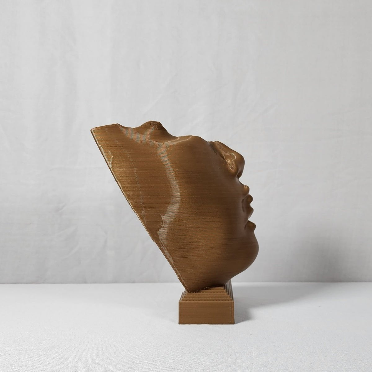 Disingenuous Prattle Plant - Based Exotic Bronze Sculpture – Home Decor on Brown Living™. SKU: DIPREDPLEBA107. Img 2.