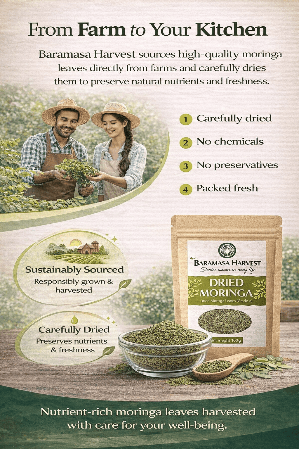 Dried Moringa Leaves | Natural Herbal Tea & Culinary Ingredient – Tea on Brown Living™. SKU: BH-MOR-100G. Img 3.
