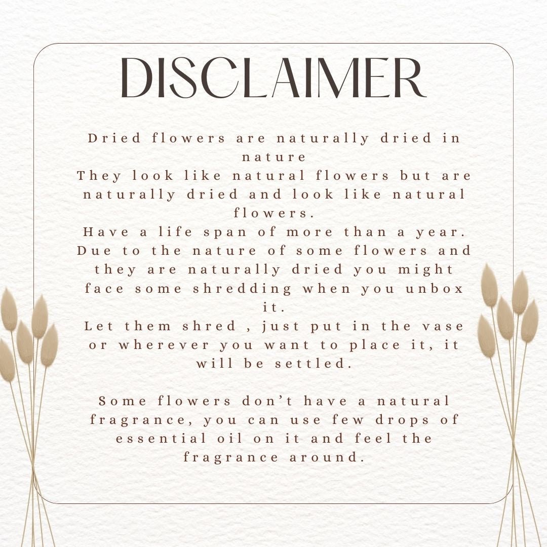 Dried Pampas XL - Brown – Decor & Artefacts on Brown Living™. SKU: 246. Img 3.