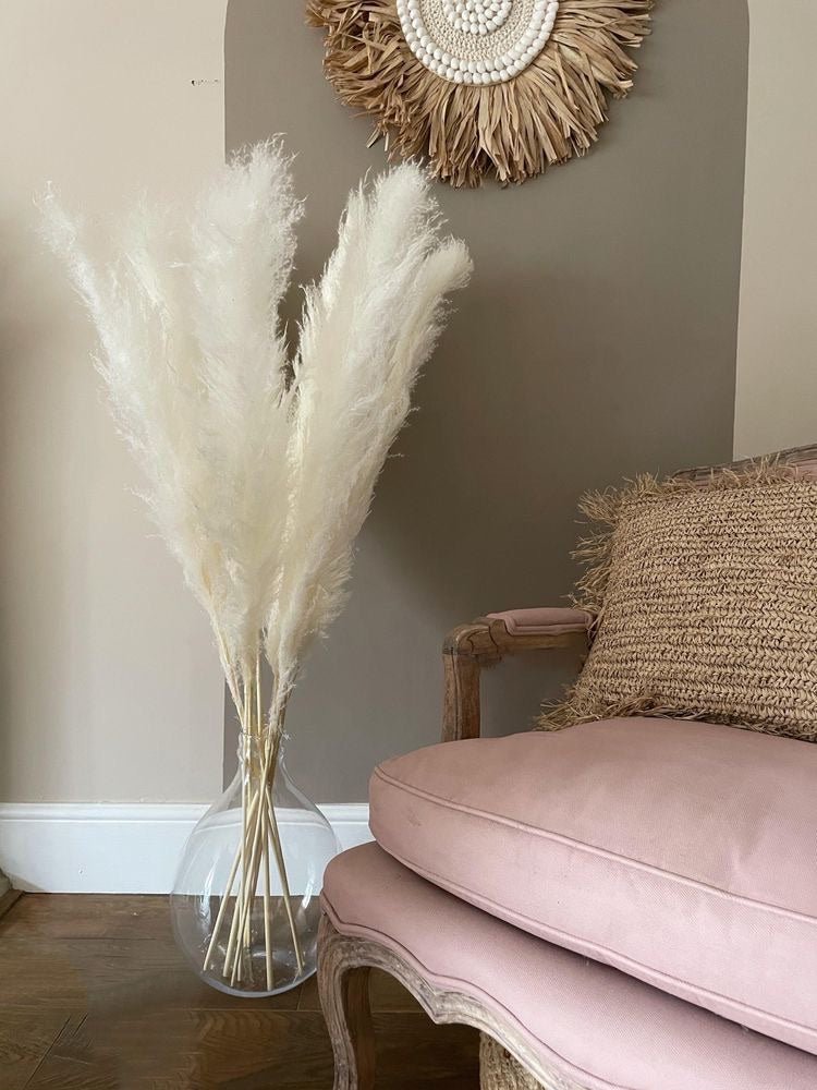 Dried Pampas XL - White – Decor & Artefacts on Brown Living™. SKU: 244. Img 2.