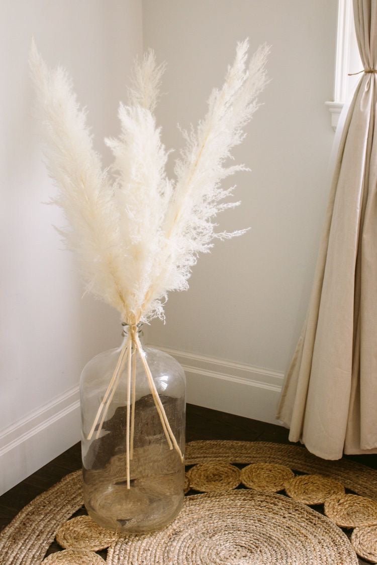 Dried Pampas XL - White – Decor & Artefacts on Brown Living™. SKU: 244. Img 3.