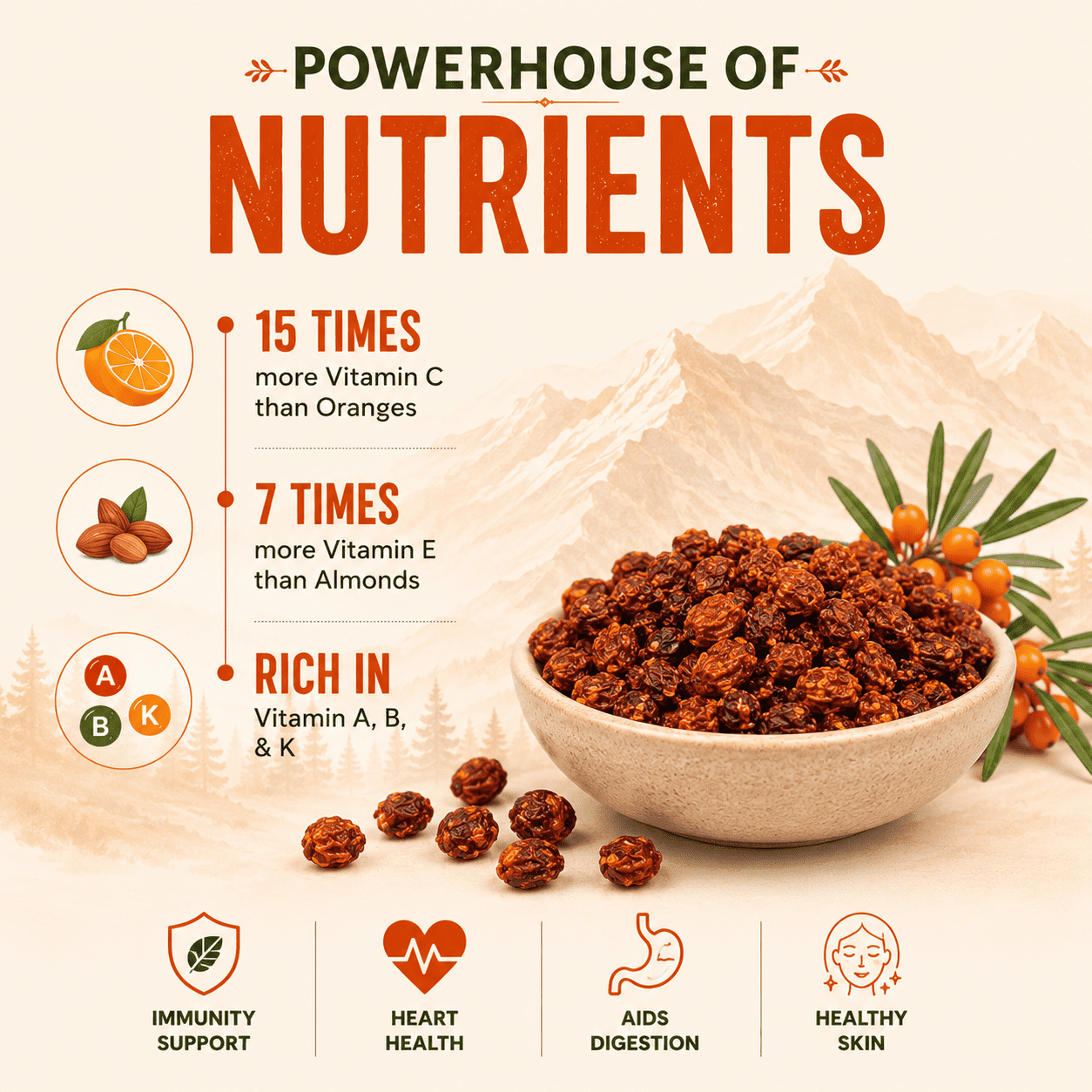 Dried Seabuckthorn Berries | Natural Himalayan Berry – Snack Foods on Brown Living™. SKU: BH-SB-100G. Img 2.