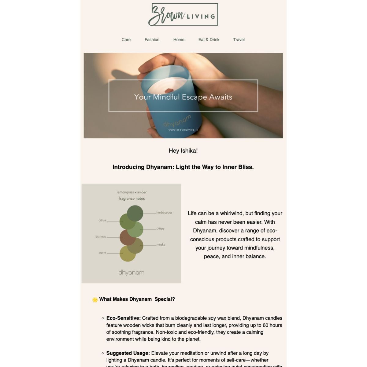 Email Campaign - One Time – Social Media Marketing on Brown Living™. SKU: BLCFG_EC. Img 1.