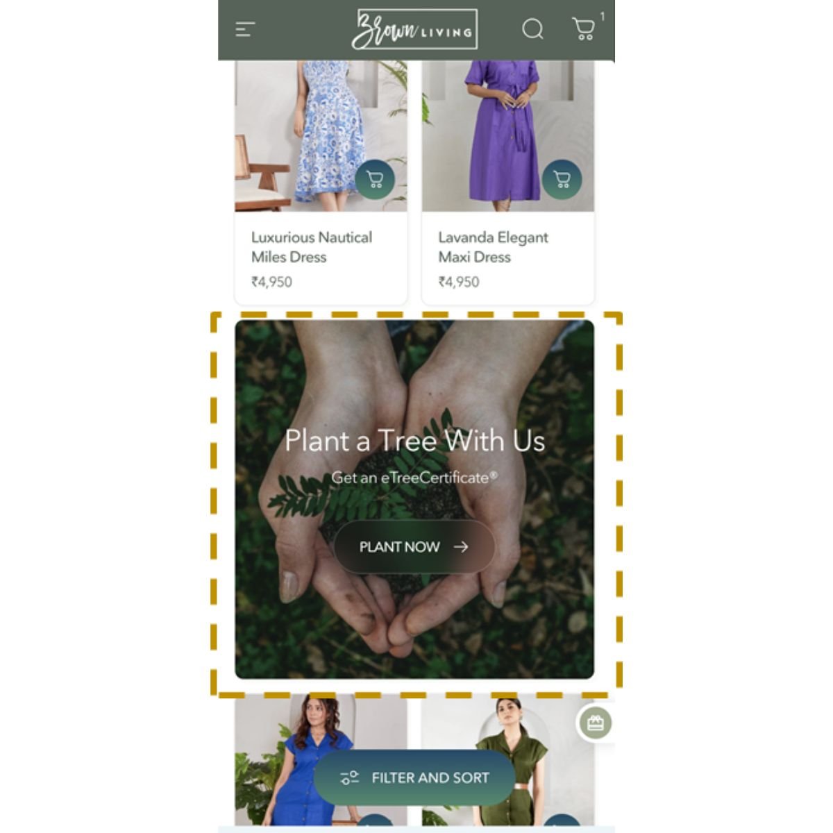 Featured Banner | All Collection Pages – Website Promotion Services on Brown Living™. SKU: BLCFG_FB. Img 2.