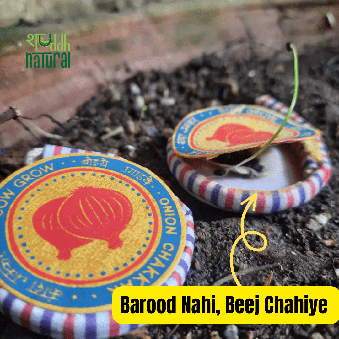 Festive Hamper | Tea I Seed Patakha Set of 4 | Brass Strainer – Gift Hampers on Brown Living™. SKU: SNTBSP04. Img 5.