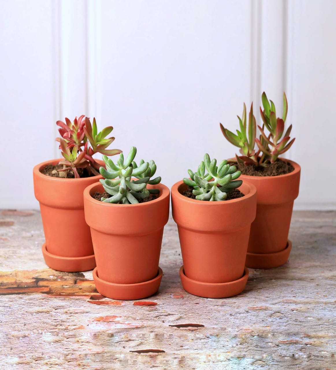 Gamla Planter Small 4 Inch | Terracotta Handmade Pot – Home & Garden on Brown Living™. SKU: PL10-4. Img 24.