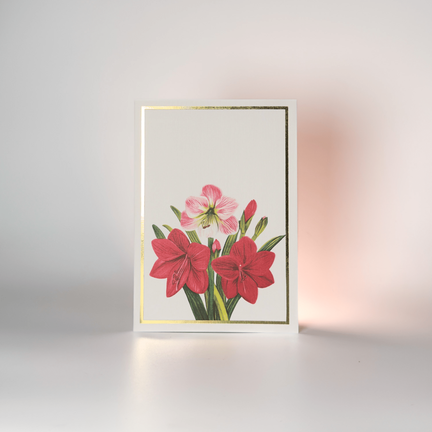 Greeting Cards Floral Collection | Set of 8 | A6 Size – Greeting & Note Cards on Brown Living™. SKU: GC01. Img 6.