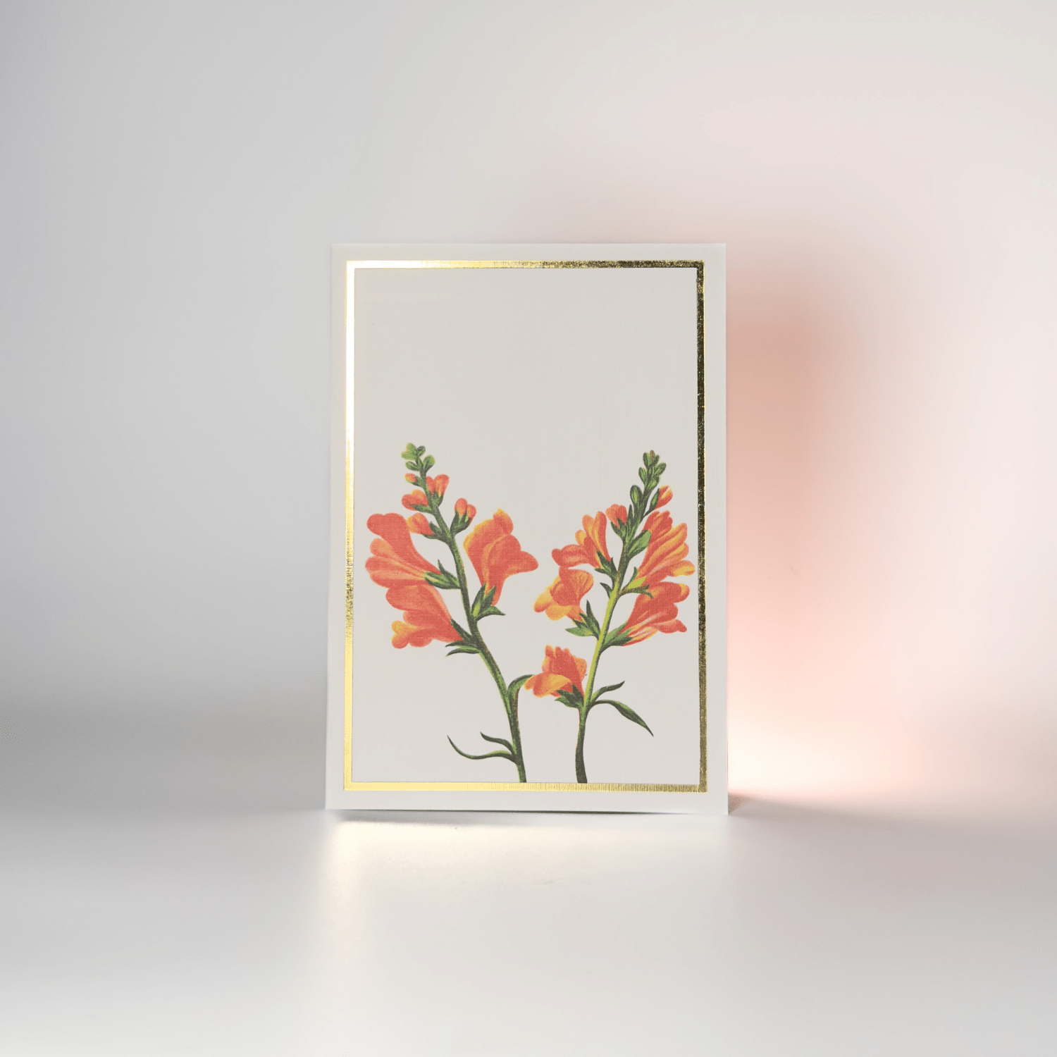 Greeting Cards Floral Collection | Set of 8 | A6 Size – Greeting & Note Cards on Brown Living™. SKU: GC01. Img 9.
