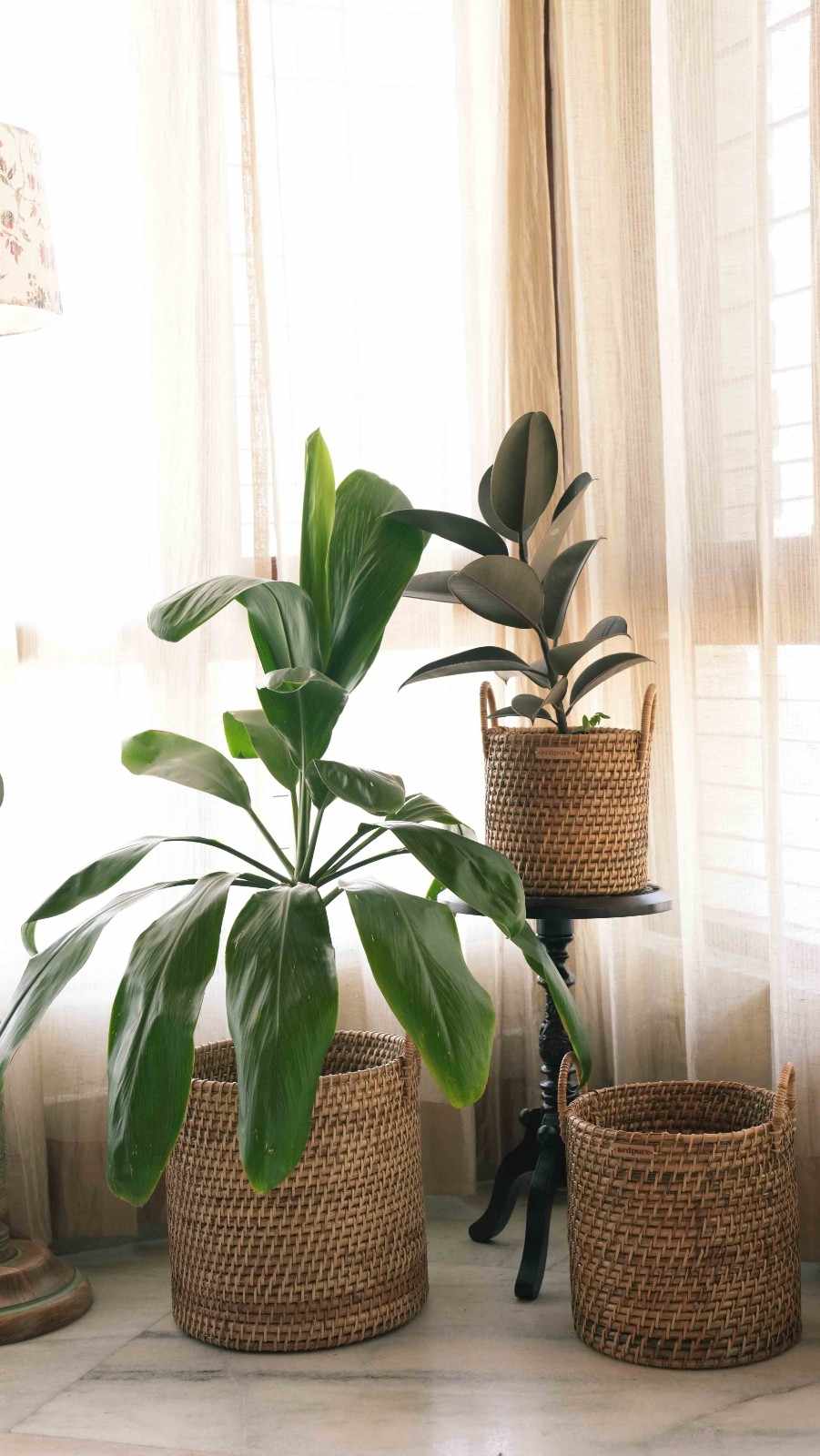 Handmade Rattan Cane Planter with Handles | Set Of 3 – Pots & Planters on Brown Living™. SKU: 901RP. Img 1.