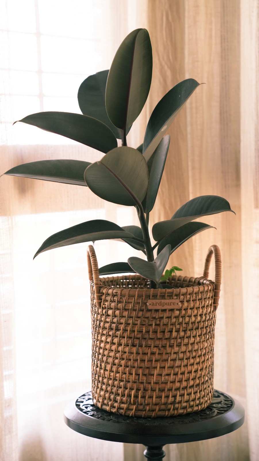 Handmade Rattan Cane Planter with Handles | Set Of 3 – Pots & Planters on Brown Living™. SKU: 901RP. Img 4.