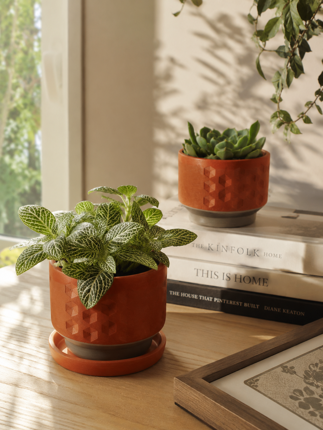 Hexa Deco Terracotta Planter Set of 2