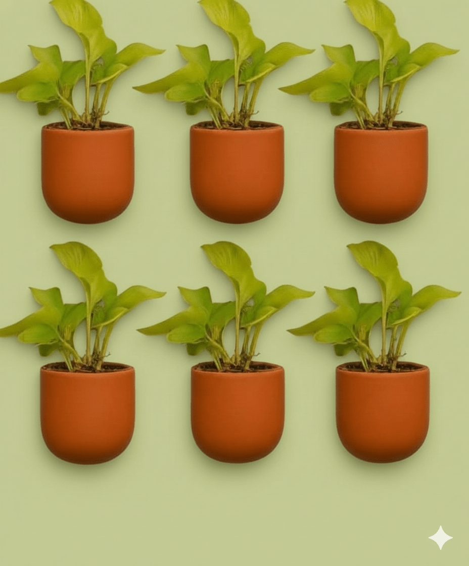 Hexane 4 Inch Terracotta Wall Planter | Hanging Wall Pot – Home & Garden on Brown Living™. SKU: PL26-10. Img 4.