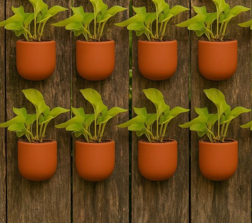 Hexane 4 Inch Terracotta Wall Planter | Hanging Wall Pot – Home & Garden on Brown Living™. SKU: PL26-8. Img 10.