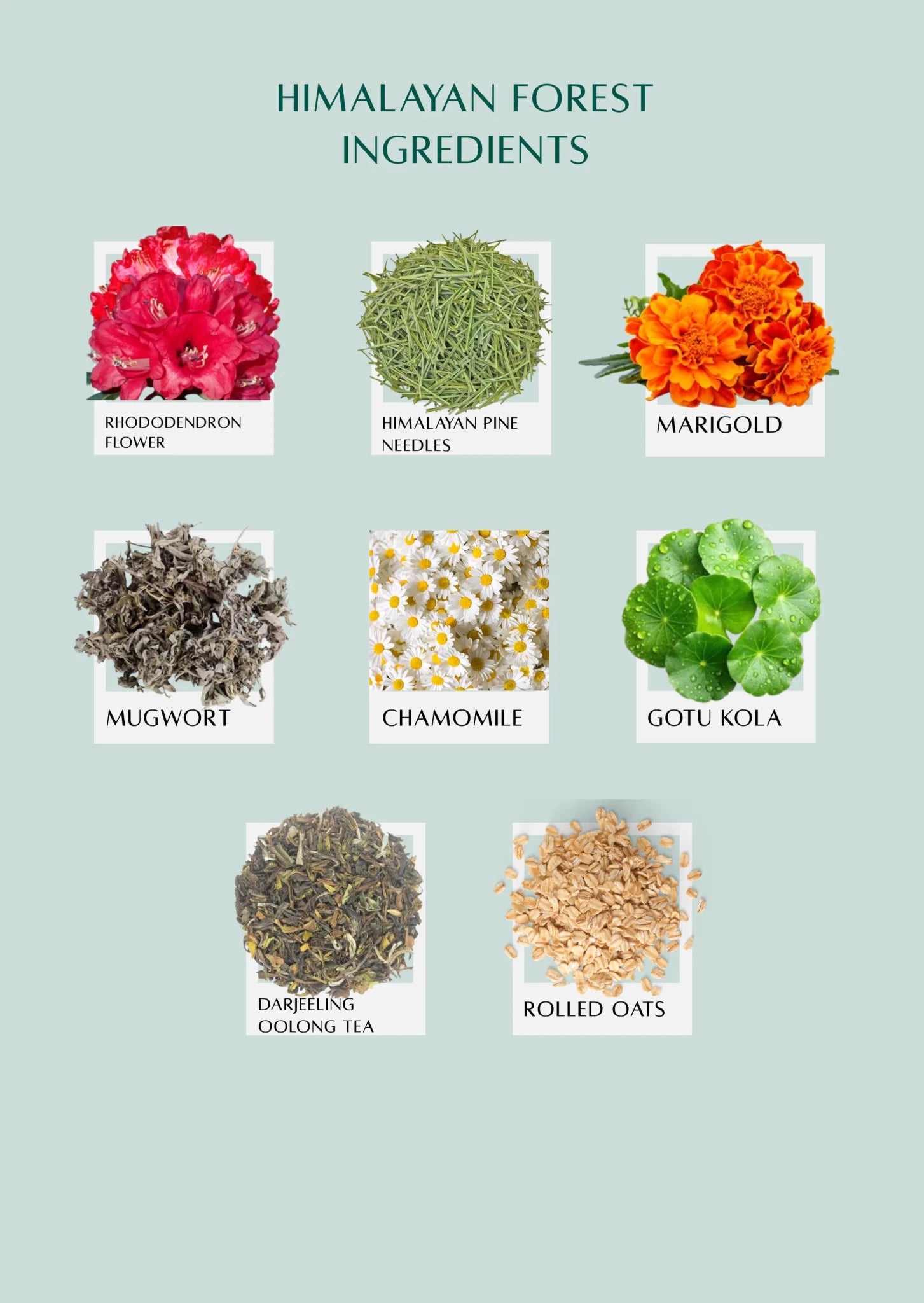 Himalayan Forest Bath Tea –Natural Herbal Bath Infusion for Relaxation – Bath Salt on Brown Living™. SKU: 300004. Img 4.