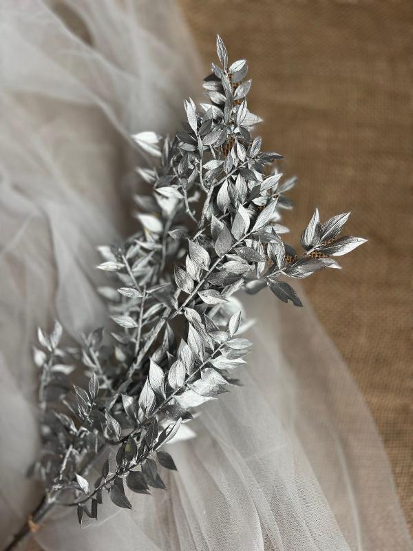 Ruscus Silver - Modern Dried Flower Arrangement