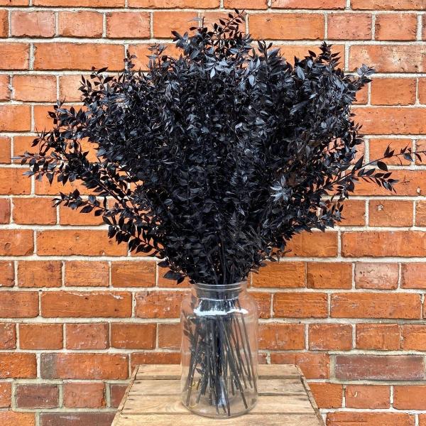 Ruscus Black - Unique Dried Floral Decor