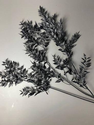 Ruscus Black - Unique Dried Floral Decor